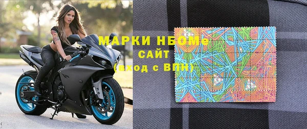 индика Алексин