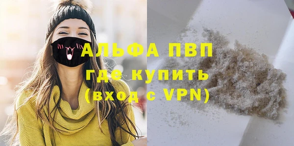 индика Алексин