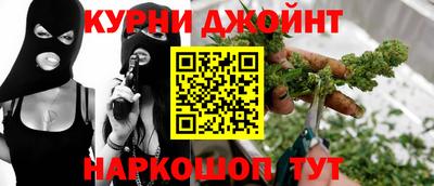 сатива Краснодар