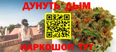 сатива Краснодар