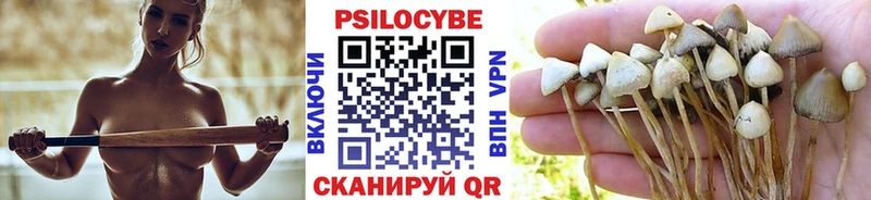 как найти наркотики Кашира Псилоцибиновые грибы мицелий