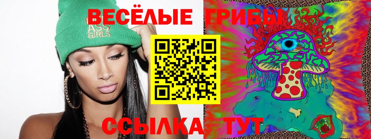 Галлюциногенные грибы Psilocybe Кашира