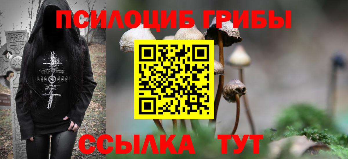 Кашира  Галлюциногенные грибы Psilocybe  Вход с VPN 