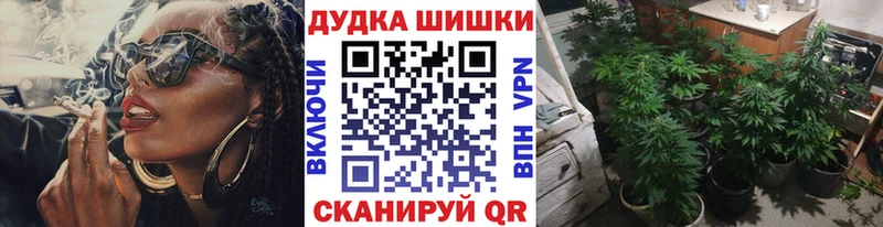 Каннабис планчик  наркотики  Кашира 